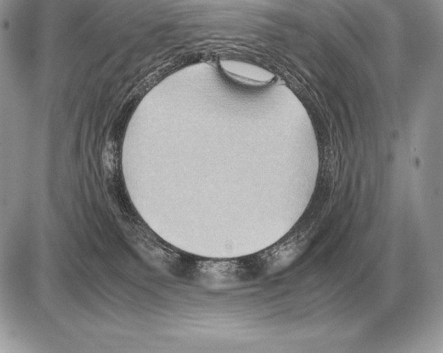 X0000085790135200704131904