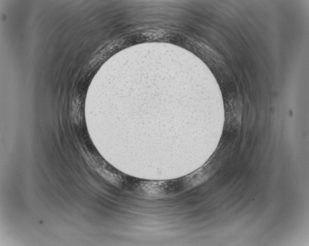 X0000085790136200704131904