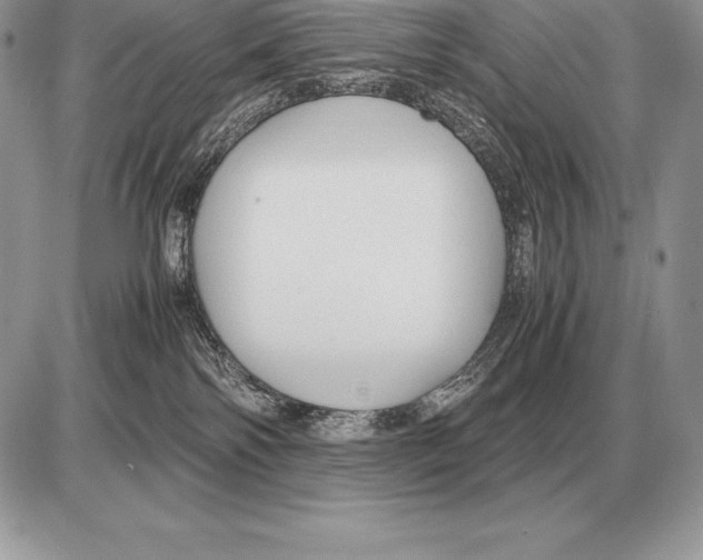 X0000085790138200704131904