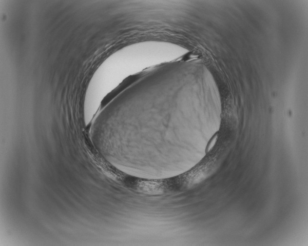 X0000085790139200704131904