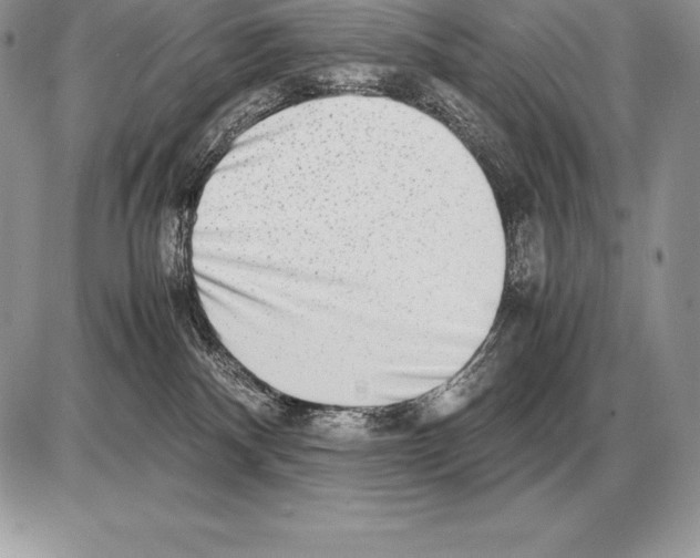 X0000085790140200704131904