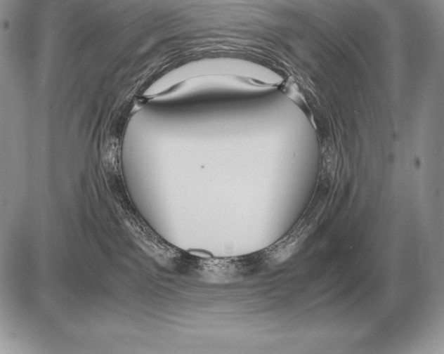 X0000085790141200704131904