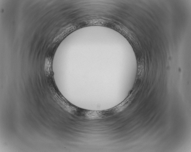 X0000085790142200704131904