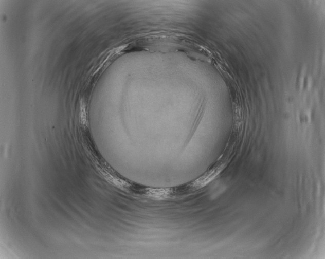 X0000085790143200704131904