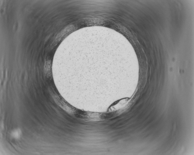 X0000085790144200704131904