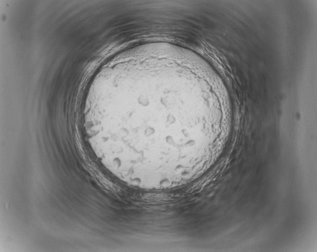 X0000085790145200704131903