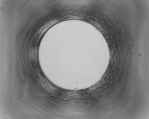 X0000085790146200704131903