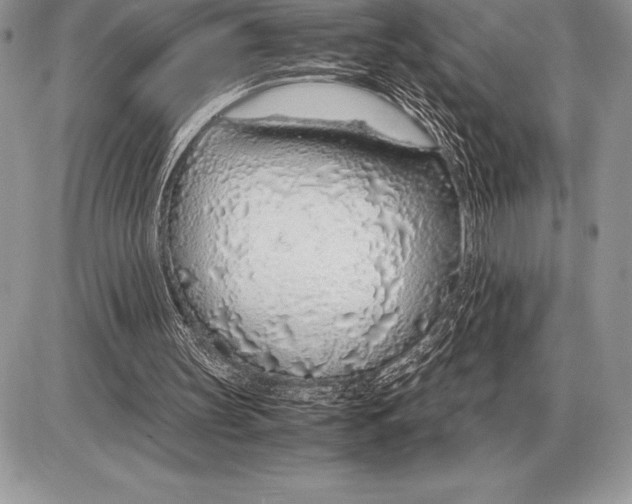 X0000085790147200704131903