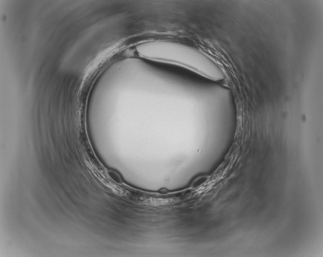 X0000085790149200704131903