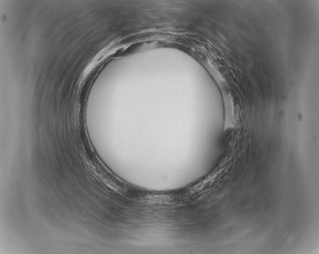 X0000085790150200704131903