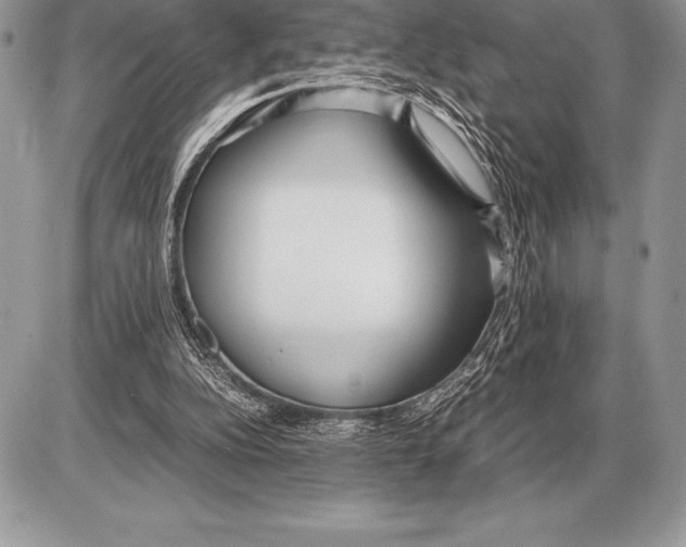 X0000085790152200704131904