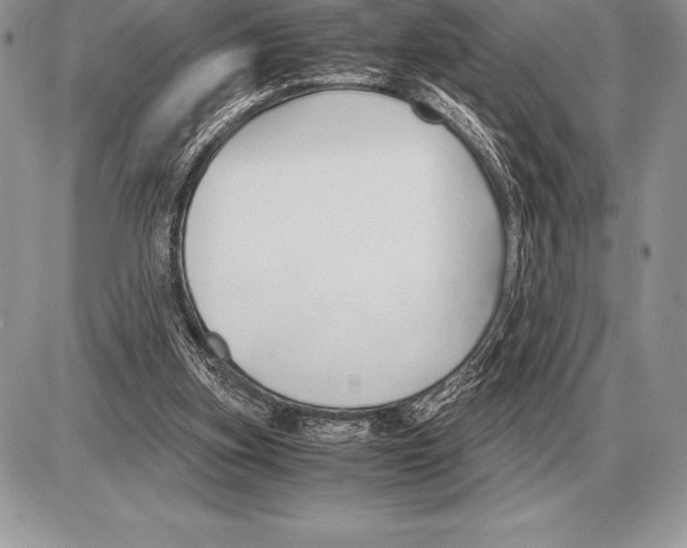 X0000085790155200704131904