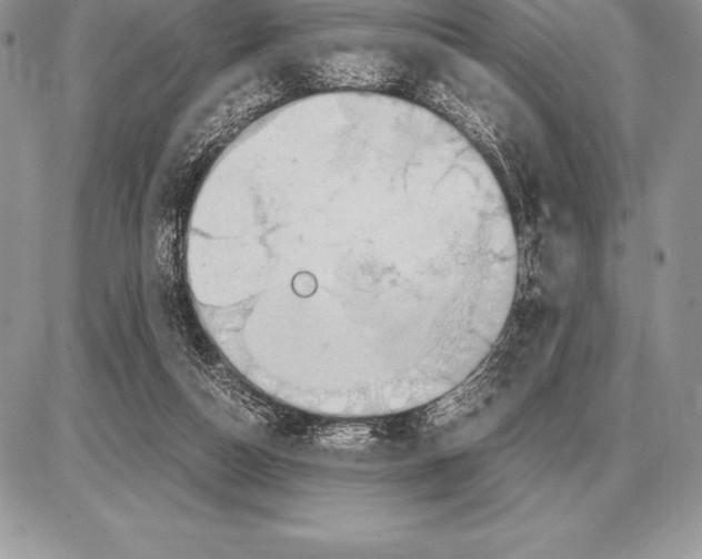 X0000085790162200704131904