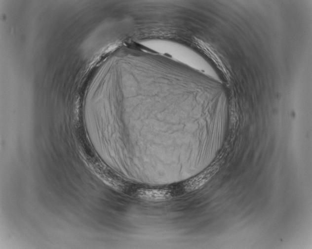X0000085790163200704131904