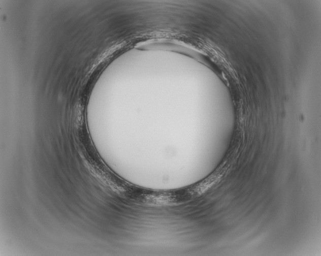 X0000085790164200704131904