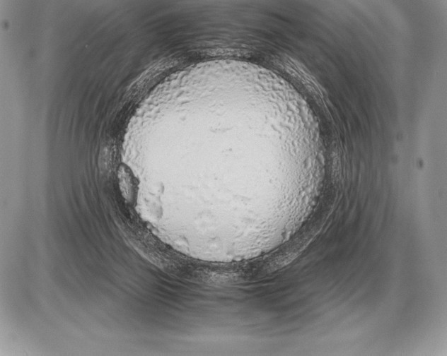 X0000085790165200704131904