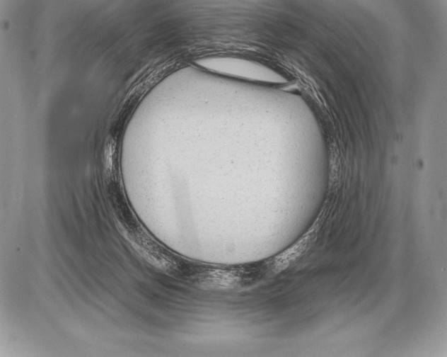 X0000085790166200704131904