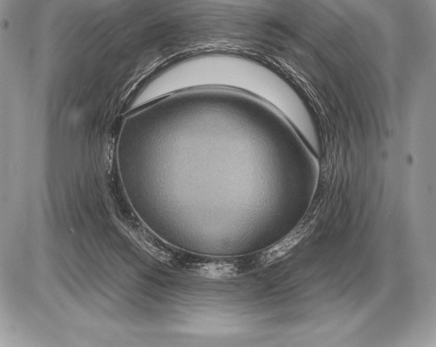 X0000085790168200704131904