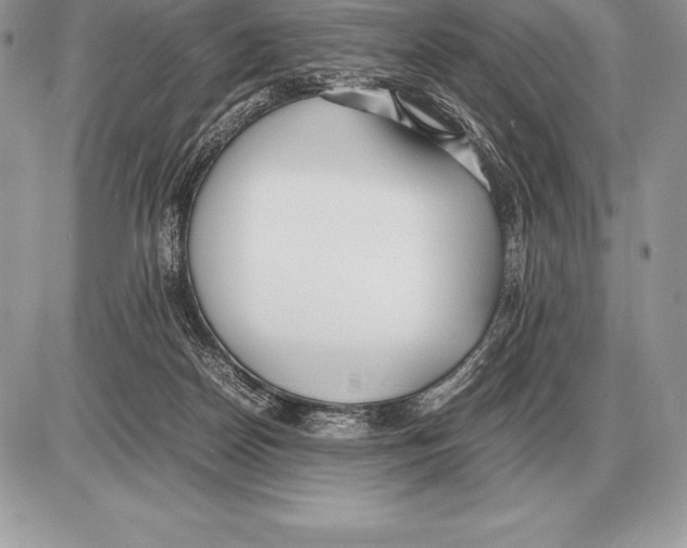 X0000085790170200704131904