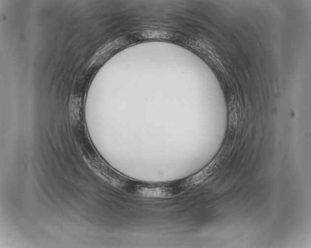 X0000085790171200704131904