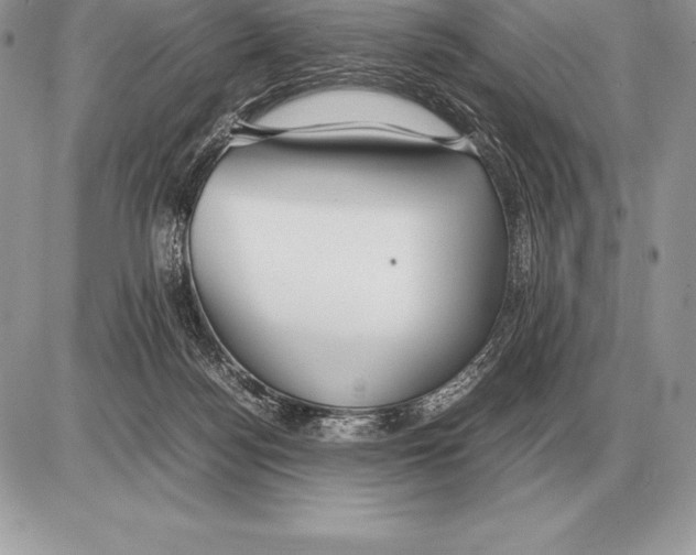 X0000085790172200704131904