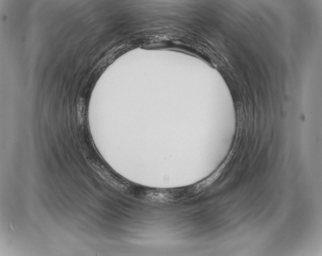 X0000085790174200704131904