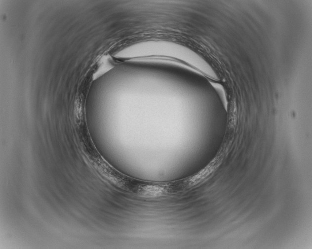 X0000085790176200704131904