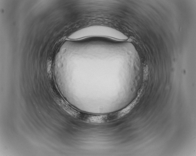 X0000085790178200704131904