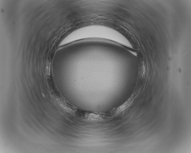 X0000085790180200704131904