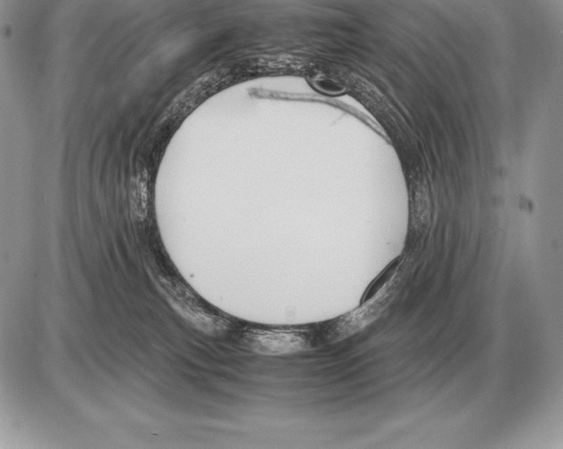 X0000085790183200704131904