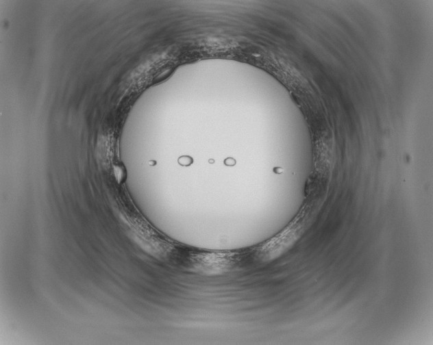 X0000085790184200704131904