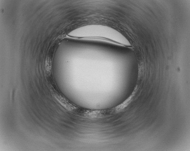 X0000085790186200704131904