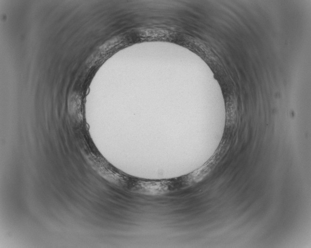 X0000085790187200704131904