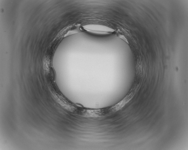 X0000085790188200704131904