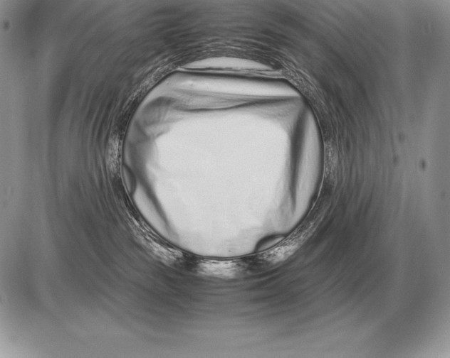 X0000085790189200704131904