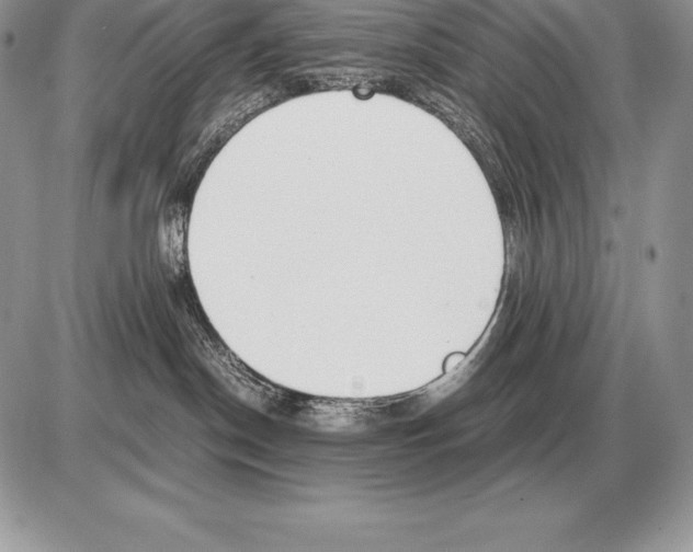 X0000085790190200704131904