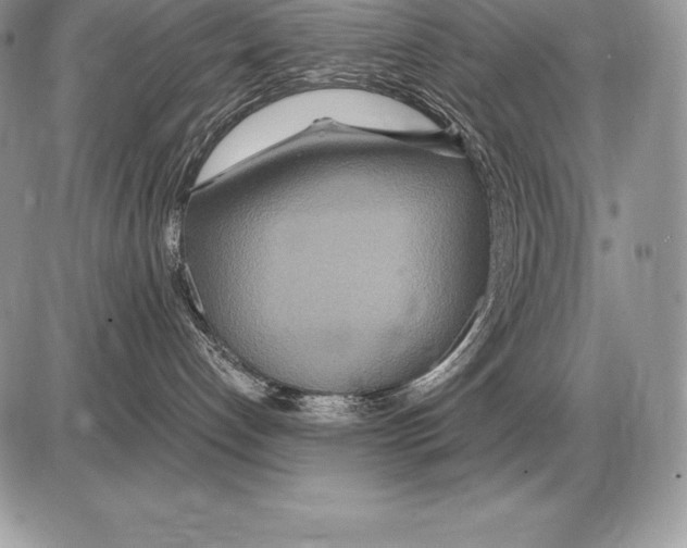 X0000085790192200704131904