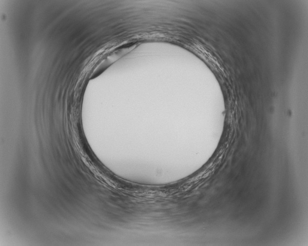 X0000085790193200704131903