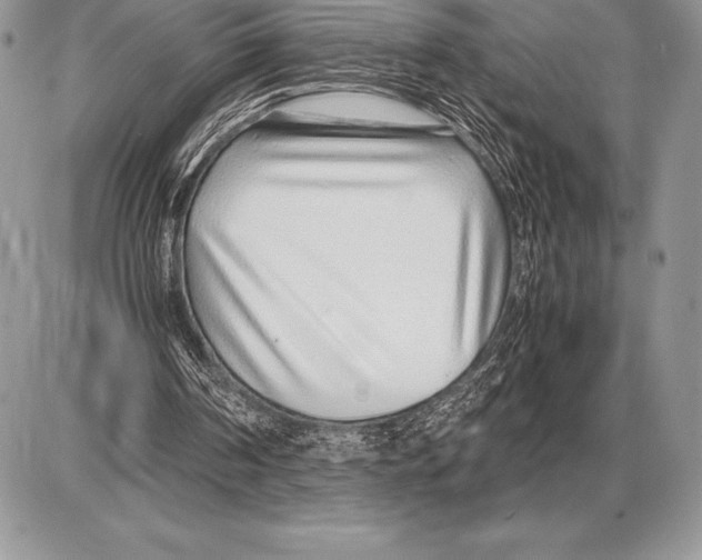 X0000085790194200704131903