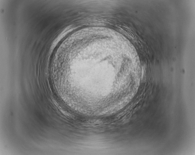 X0000085790195200704131903