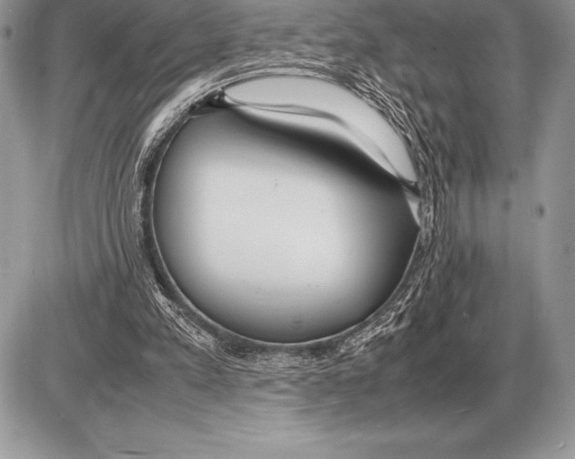 X0000085790197200704131903