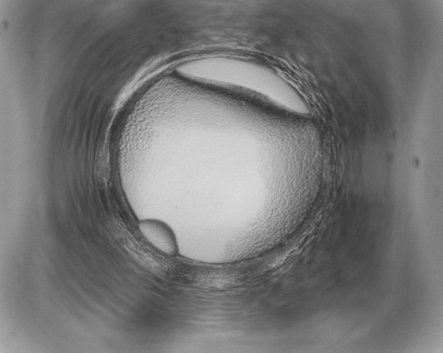 X0000085790198200704131903