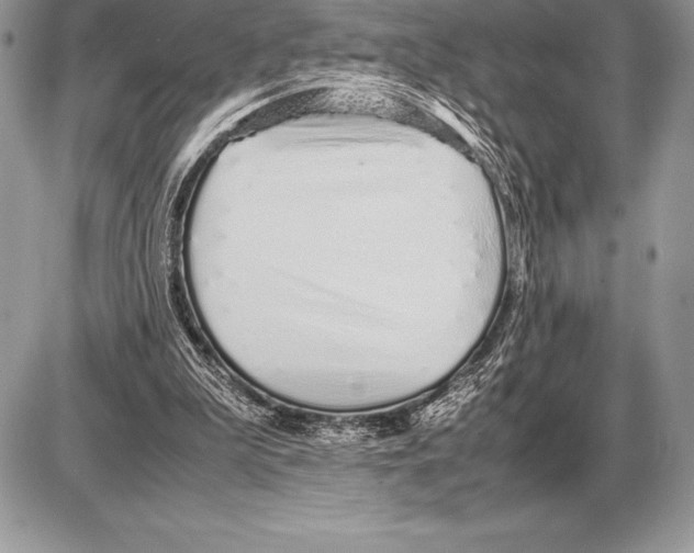 X0000085790199200704131903
