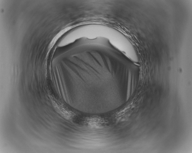 X0000085790200200704131903