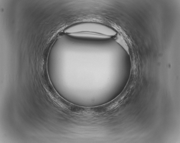 X0000085790201200704131903