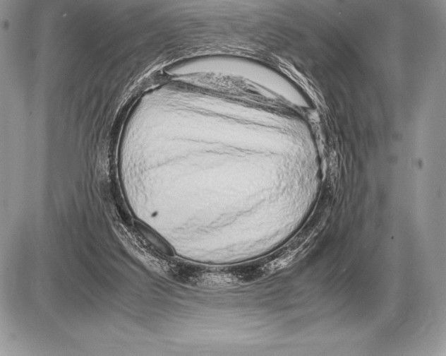X0000085790203200704131903