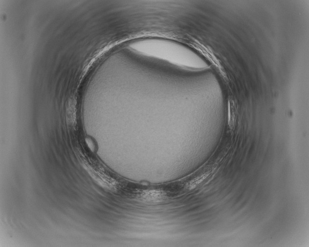 X0000085790204200704131903