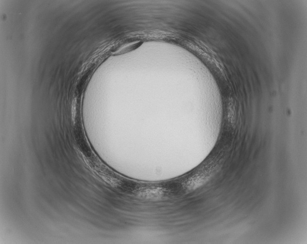 X0000085790206200704131903