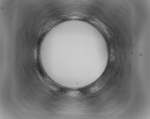 X0000085790210200704131903