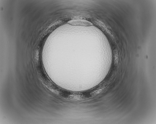 X0000085790211200704131903